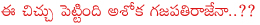 aviation minister ashokagajapathi raju,shamsha bad domestic terminal name changedto ntr,trs on domestic terminal name change,telangana assembly on domestic terminal name change,congress on domestic terminal name change